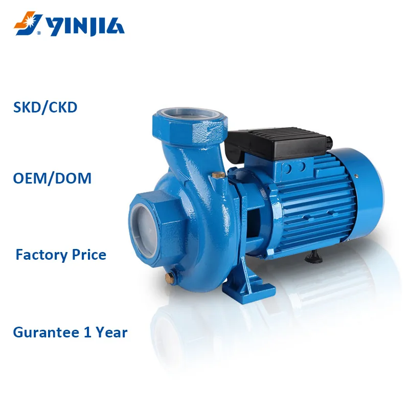 China Surface Pump Manufacturer 2.2KW AC Motor Big Flow Irrigation Pump For Agriculture