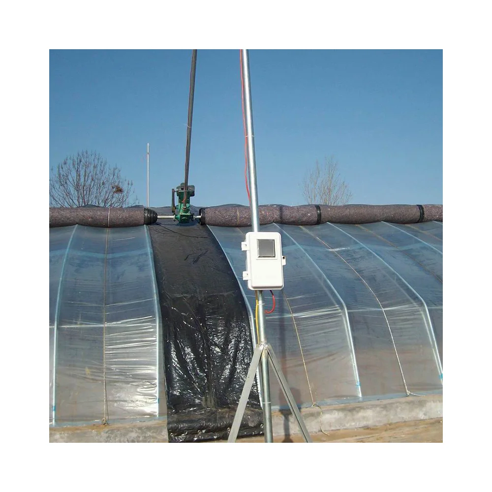 
Vegetable greenhouse elliptical tube vegetable farming tomato farming 