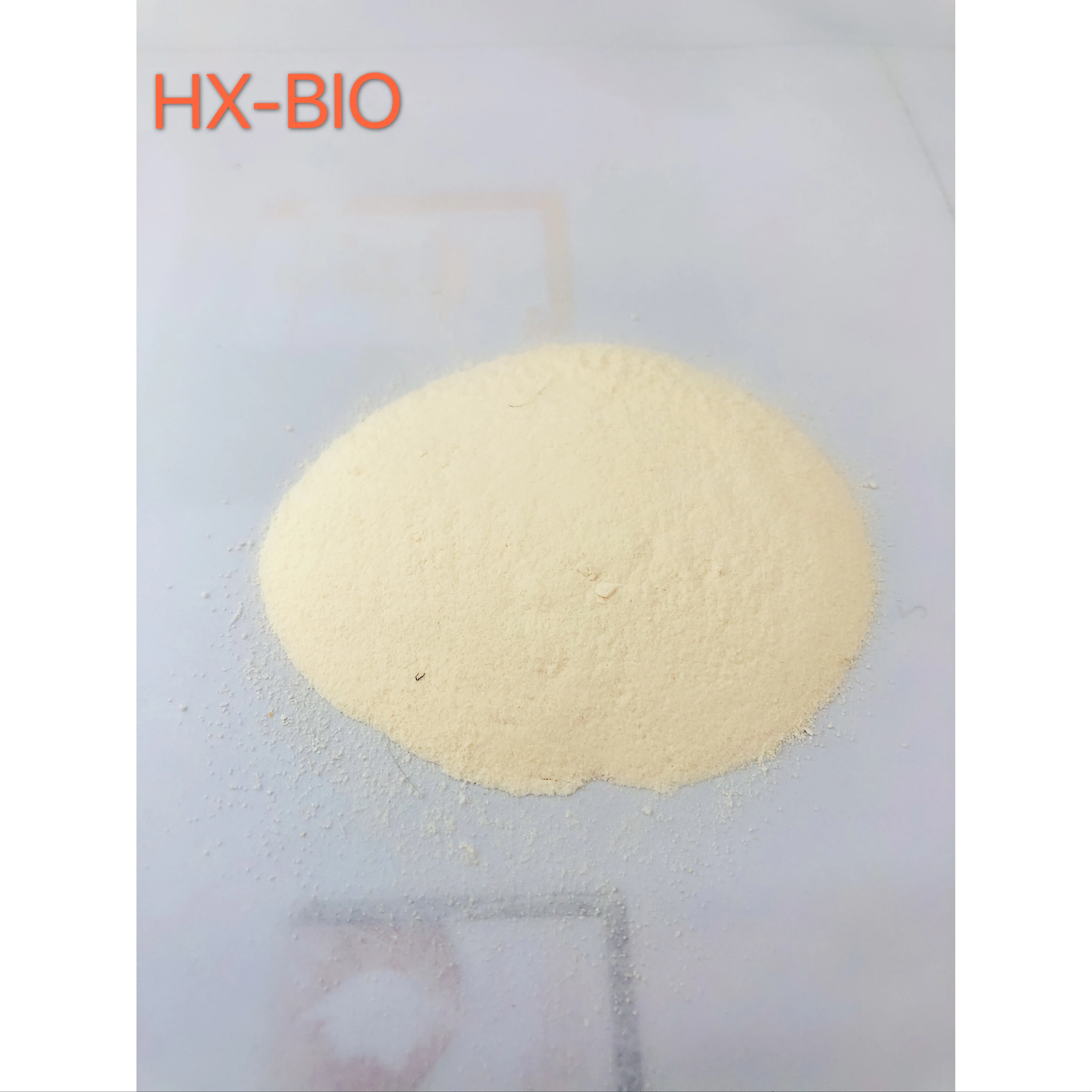 
probiotics in Gastrointestinal Healthcare Products Huixing Manufacturer 