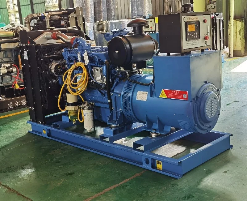 Kva Silent Diesel Generator 10 Year GTL R D Manufactory DCEC Customized 5 75 375 1000 Kw Stanford Cummins Engine Doosan CCW Type