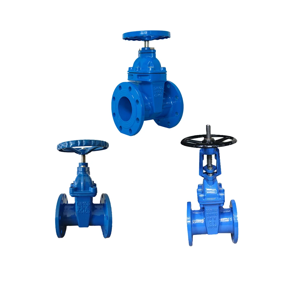 Cast Iron Customized Stem Ductile Iron Resilient Wedge Disc Seat Gate Valve