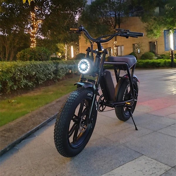 OUXI V8 New Electric Bicycle 750W Motor 48V 15Ah Lithium Battery Ebike 20In  E Fat Bike Amserdam Fat Tire Mountain Electric Bike