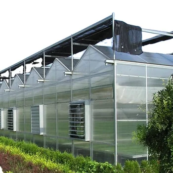 Посадка Venlo, вертикальная сельскохозяйственная система Nft, стеклофермерская гидропонная зеленая теплица, сельскохозяйственная теплица с коэффициентом пропускания света