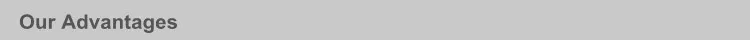 15. Our Advantages.jpg