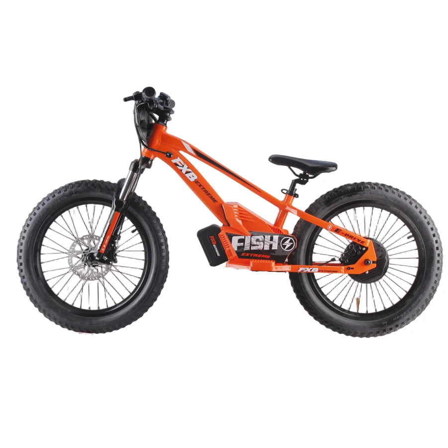hot 20inch Spoke CN round stainless steel Hydraulic adjustable fork Lithium Battery Electric balance bike