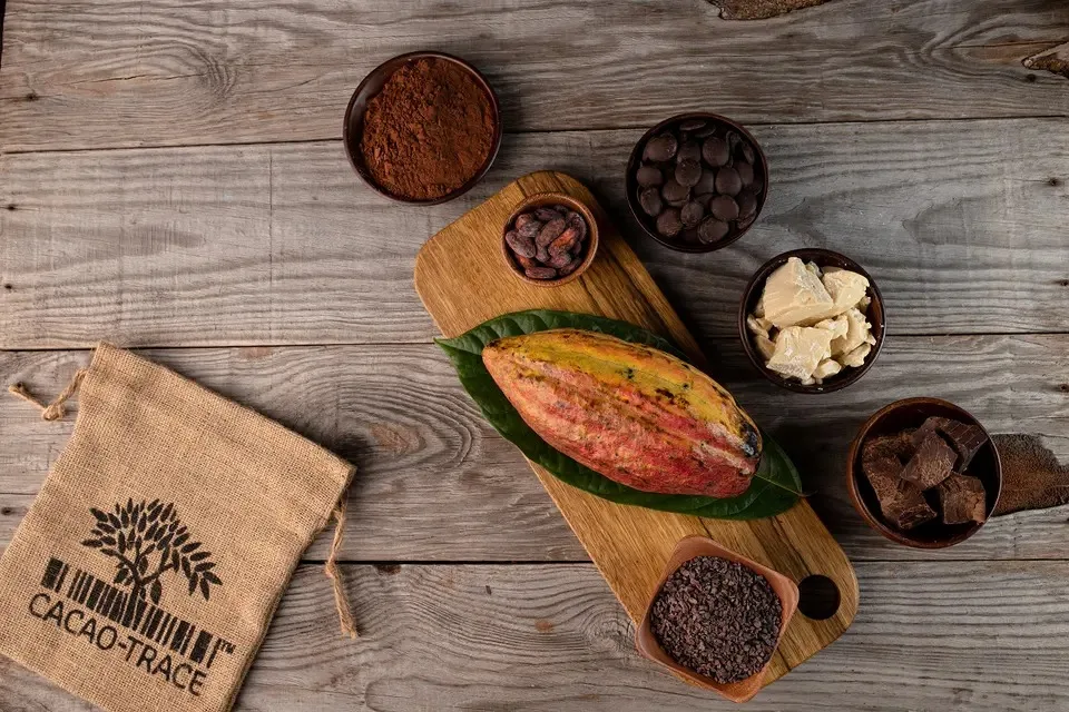 Top Quality Organic Certified Cacao Mass, 100% Dark Chocolate Fancy Dark Chocolate Bulk from Vietnam