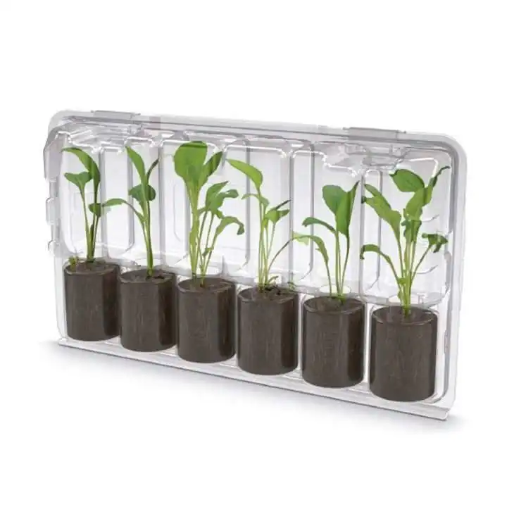10x12x15 Seedling Transport Packaging Box Seedling Potted Packaging Box Large PVC Blister Box Bubble Shell Printing Food Clear