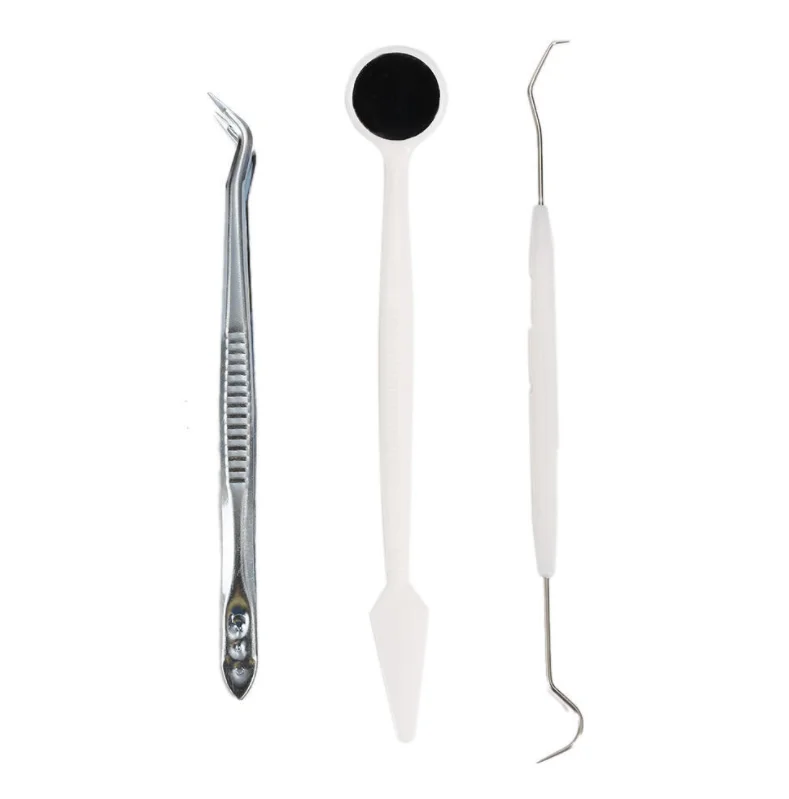 3 Pcs Stainless Steel Instruments Kit Dental Cleaning Instruments Set