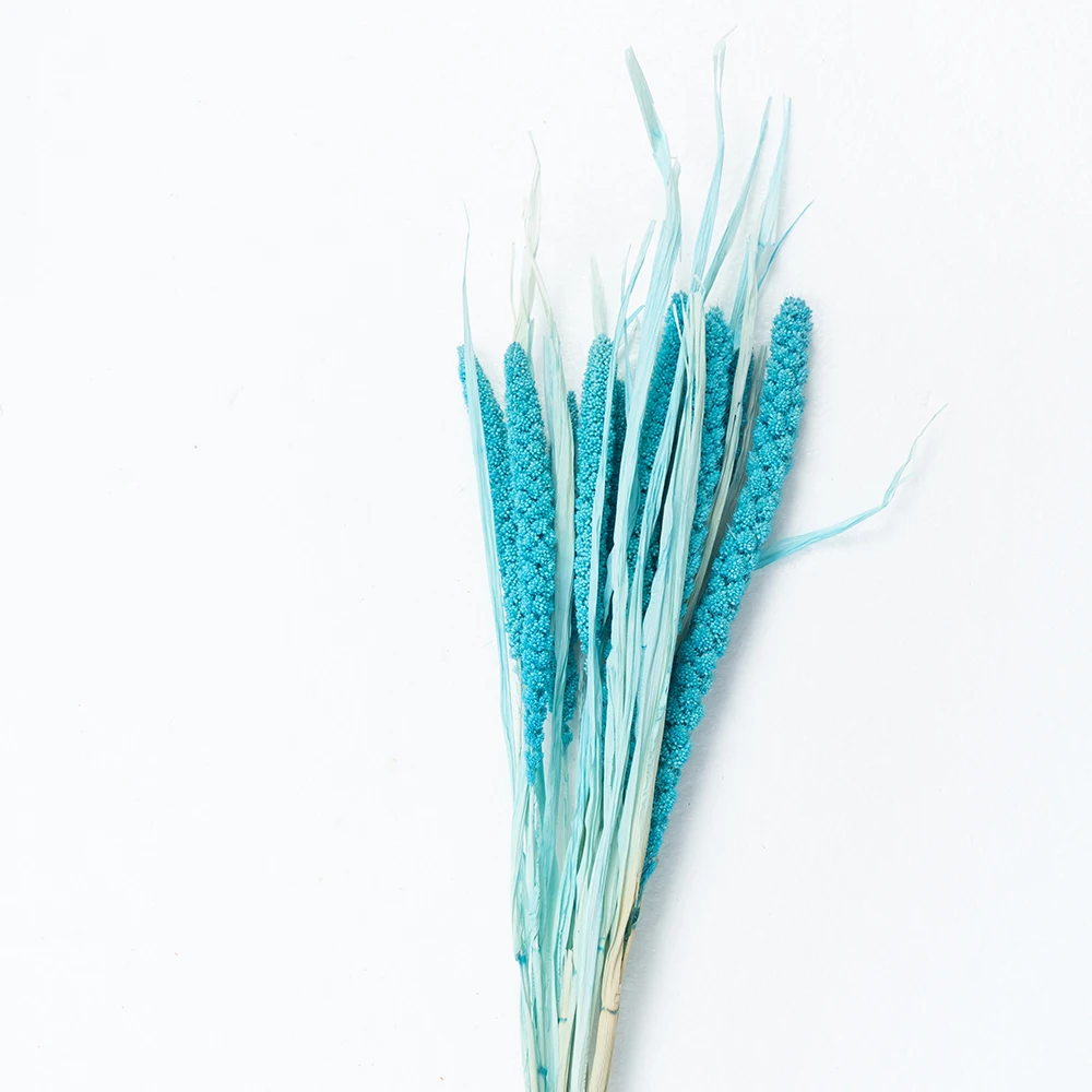 65cm Natural Preserved Flower Dried 100pcs Grain Bran Wheat Stalks Spike Gold Soft Wheat For Diy Wedding Home Decoration