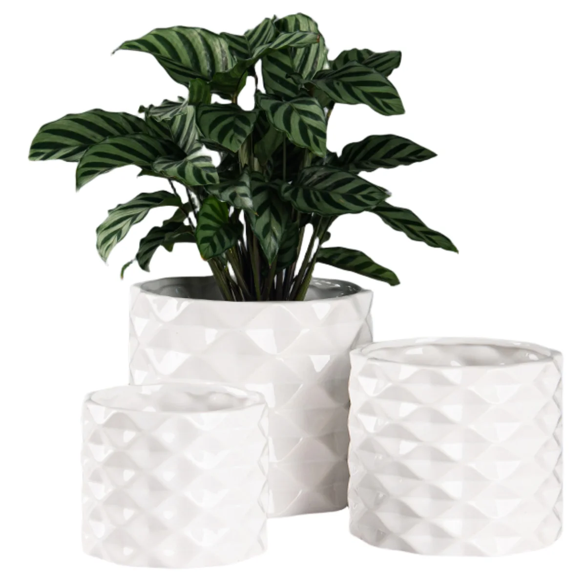 Stylish Minimalist Glazed Ceramic Plant Pots Diamond Pattern Ceramic Planter Kit for Home & Garden Decoration