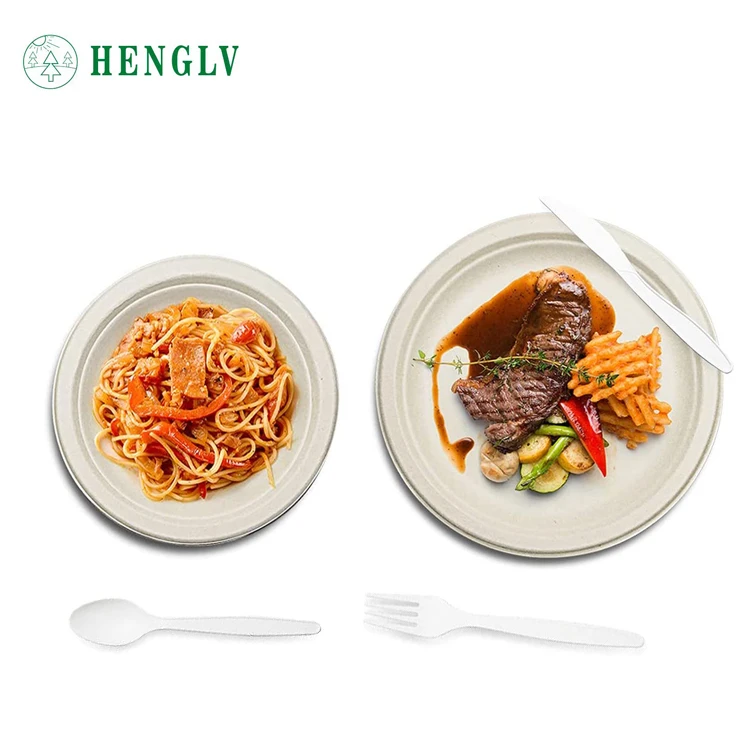 HENGLV 100% Compostable Eco-Friendly Disposable Dinner Plates Biodegradable Sugarcane Paper Plates