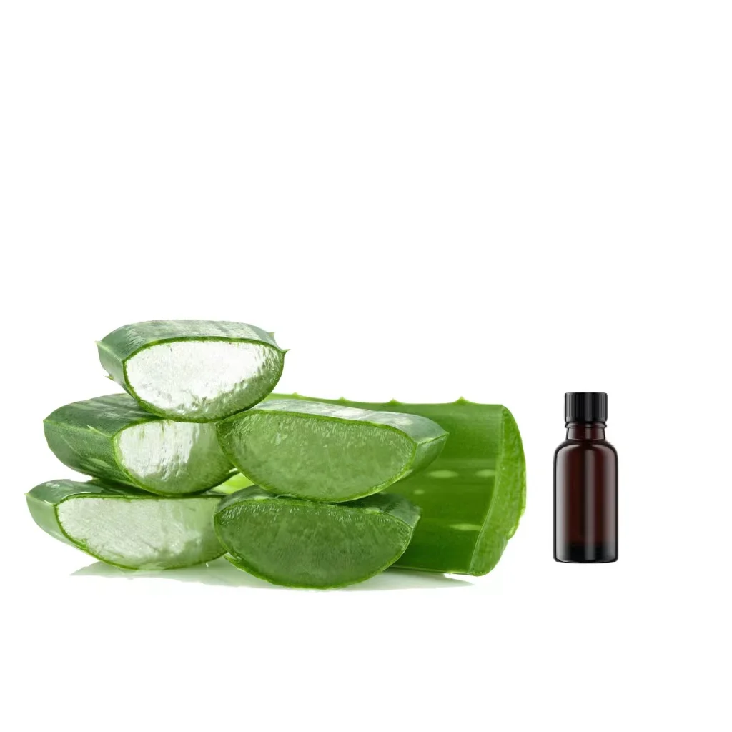 Fresh Aloe Vera Extract Used in Cosmetic Skin Care Products Processing Aloe P.E