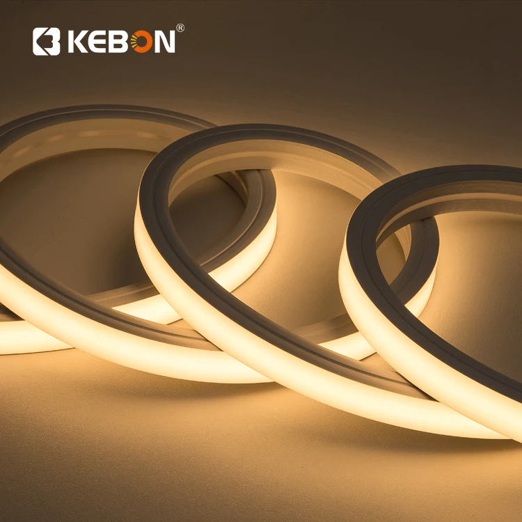 High Density Waterproof Intelligent Control LED Tape Ribbon Light Multi Color SMD2835 Flexible Led Neon Light