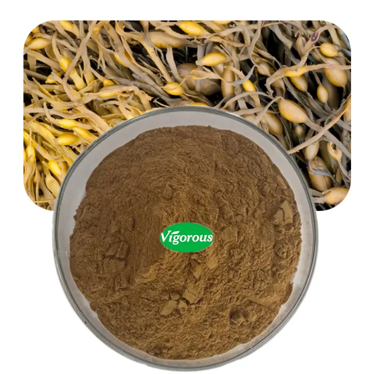 Ascophyllum Nodosum Free Sample 100% pure ascophyllum nodosum extract powder
