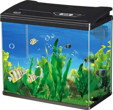 Wholesale Hight Quality Round Small/Mini Glass Portable Fish Tank