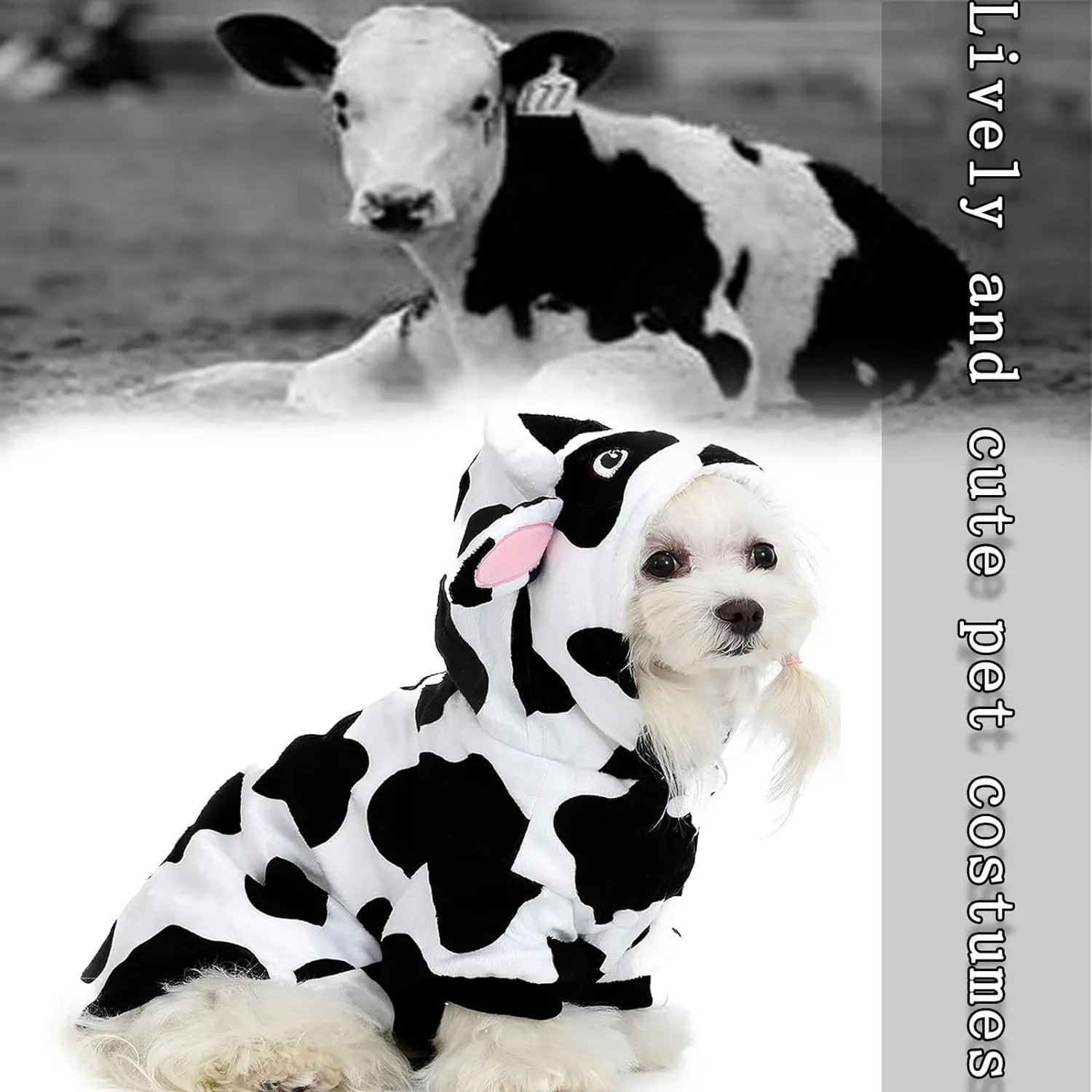 Modeling Cow Role-Playing Dog and cat Clothing dog clothing luxury pet clothes