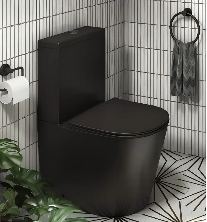 Toilette igbonse les chiottes Sanitary Ware Commercial Toilet with Dual Flush Cistern - Water Saving Durable Reliable