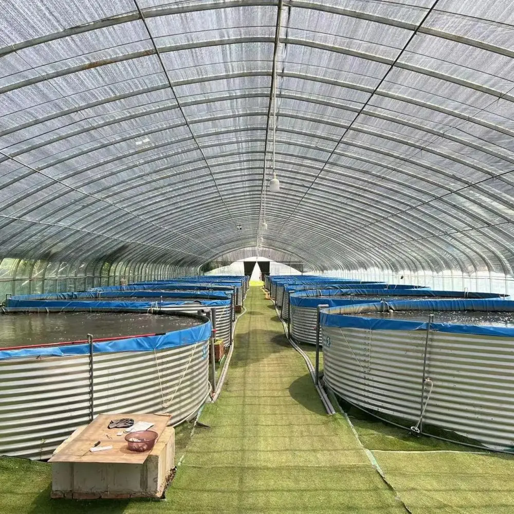 Latest hot sale styles  High Density  Aquaculture Tilapia & Shrimp Ras System Galvanized Steel Aquaculture Ponds