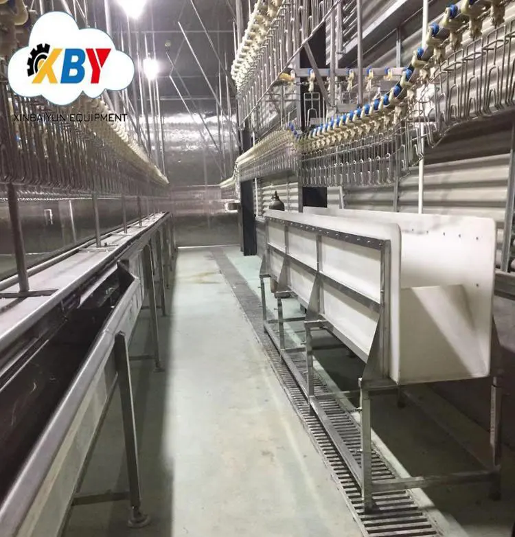 Used to poultry hair removal machine / plucking machine / bird/quail/chicken/duck/goose feather plucker