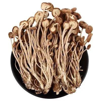 Manufacture edible High Quality Dried Agrocybe Cylindracea Dried Mushrooms Tea tree mushroom