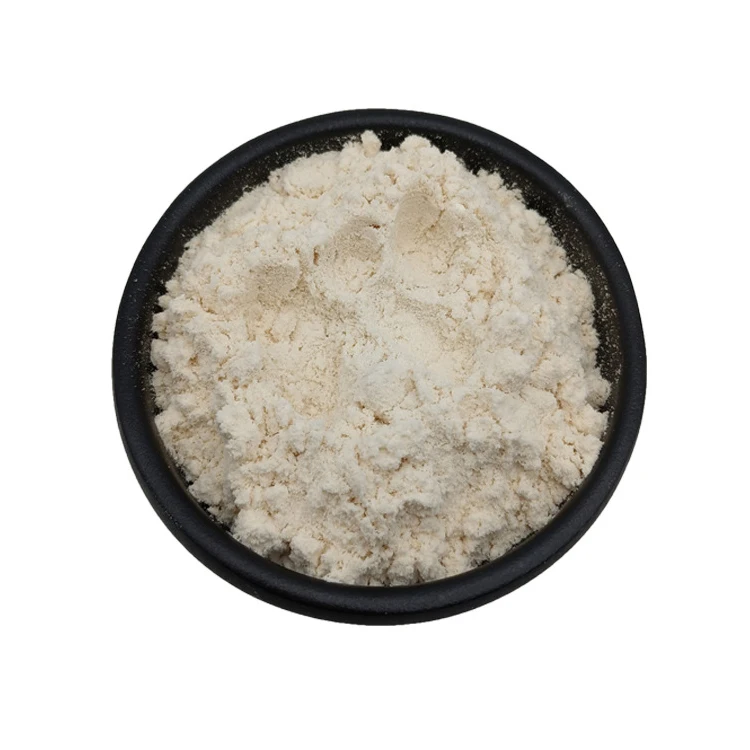 factory manufacturers supply best quality panax root capsules powder american ginseng extract