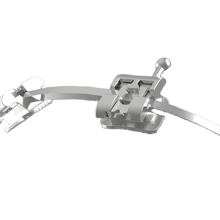 Hot Selling Orthodontic Demonstration Teeth Educational Teeth Model Orthodontic Model Teeth for Dental Course