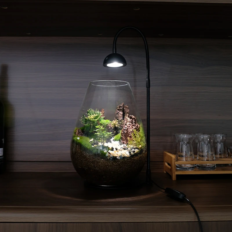 3 Sizes Plant Terrarium Bottles Glass Containers Terrarium for Plants Micro-ecological Landscape