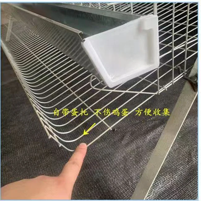 hot sales automatic 1000 chicken broiler cages
