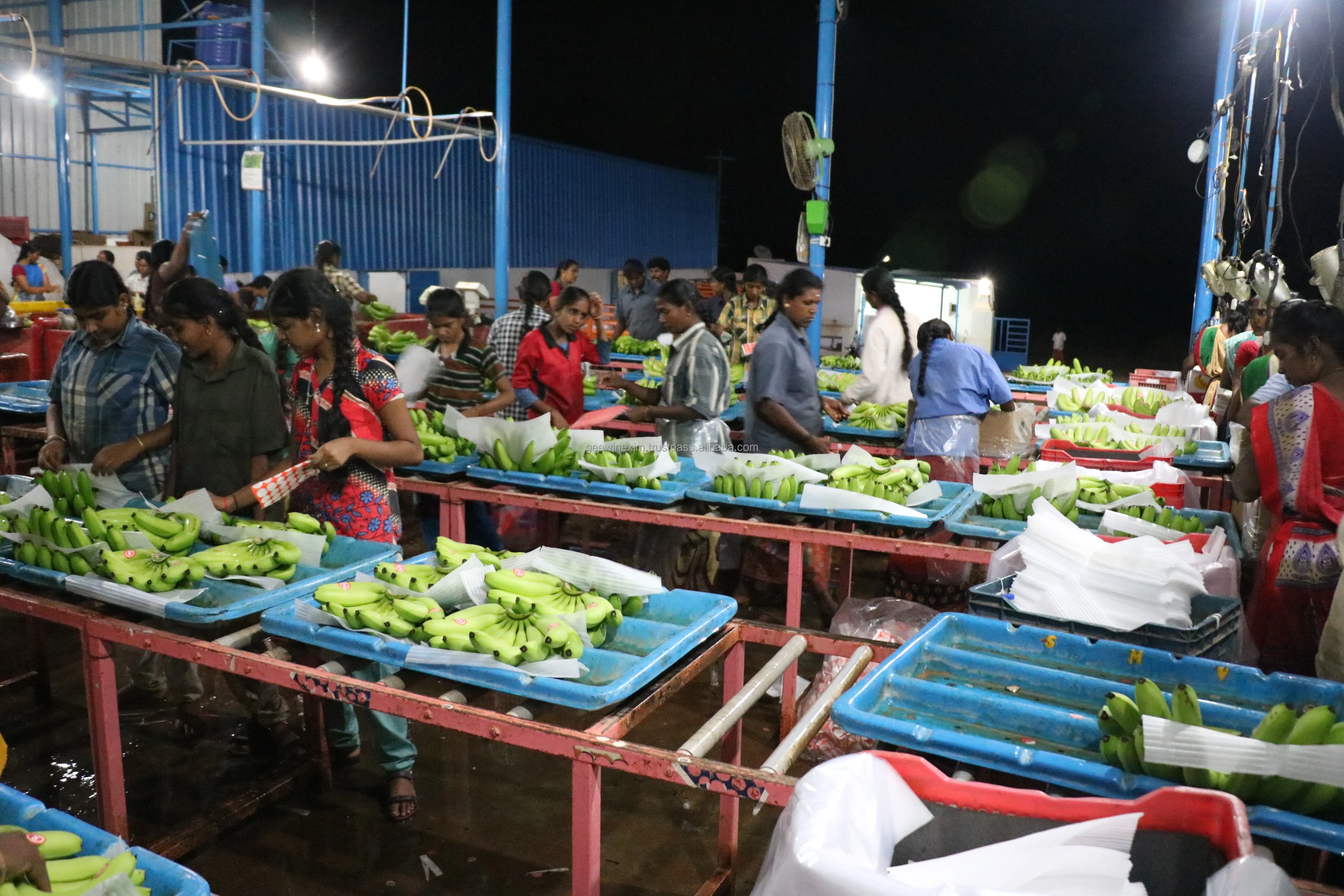 Свежий банан CAVENDISH премиум-класса