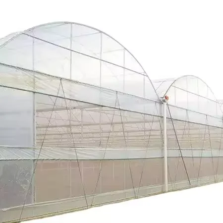 Factory direct sales  greenhouse transparent  film for fruit vegetable garden