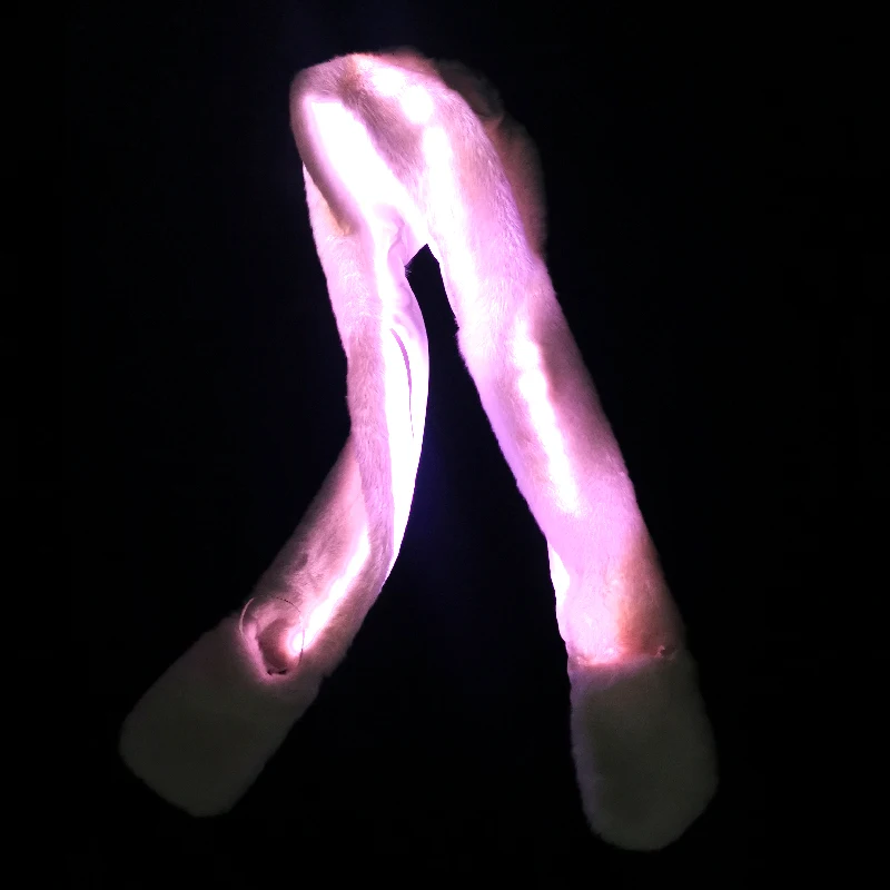 LEDM-15