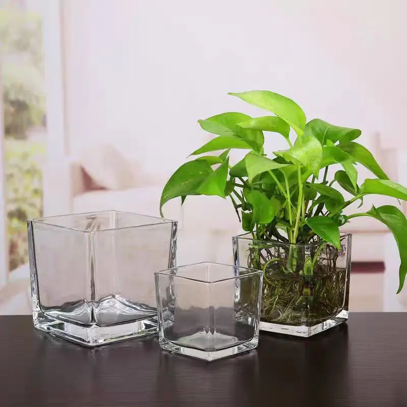 Wholesale Modern Machine Made Wide Mouth Square Cube Transparent Plant Fish Glass Flower Vases