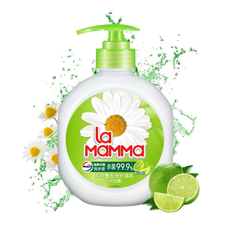 
hand wash soap liquid surgical antiseptic prices customized foaming fragrance small eco friendly 500ml 