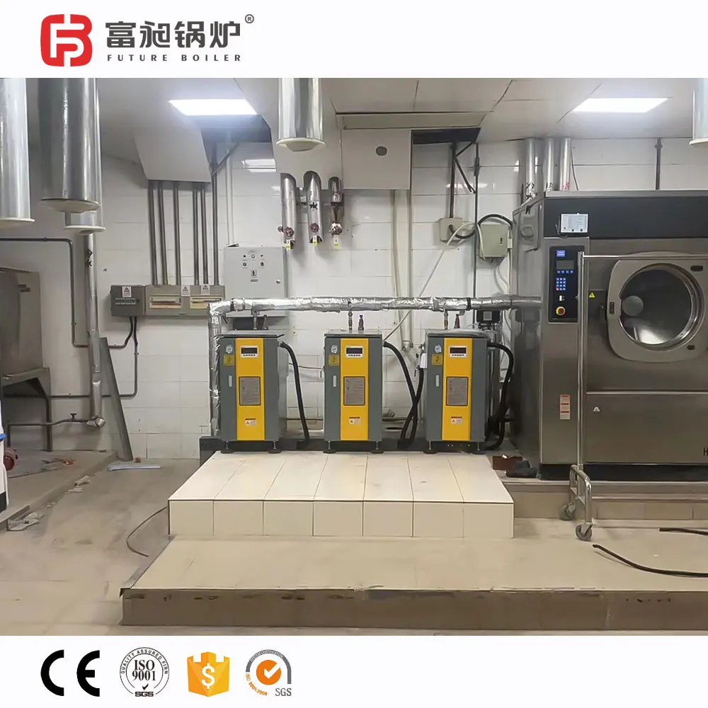 Automatic Feed-Water Adjustment Electric Steam Boiler for Food Laboratory