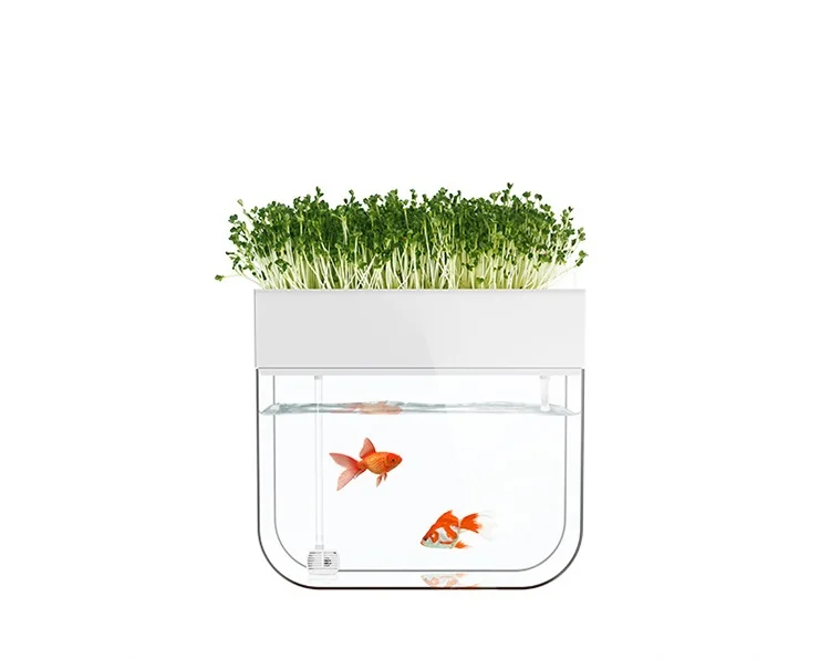 
small cylinder acrylic sitting room desktop household aquarium fish+food ecological change water free goldfish bowl 