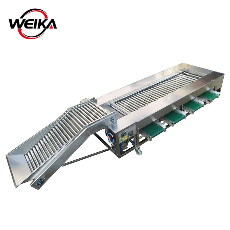 Shrimp weight sorter machine Seafood weight grader sea cucumber sorting garding machine