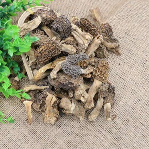Factory Sale Various Widely Used Dried Morels Natural Grow Morel Mushroom Buyers