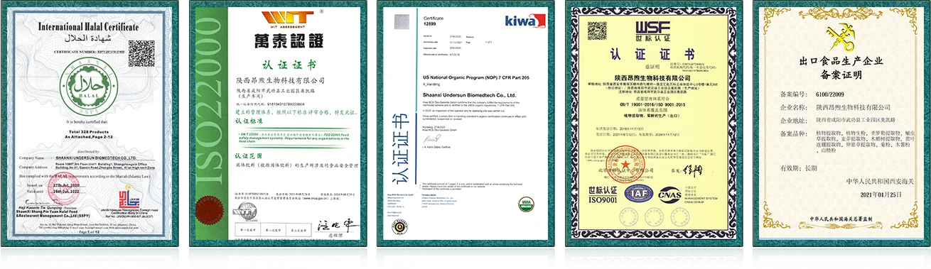 OEM Healthcare Supplement Sea Buckthorn Oil Capsules Omega 3 6 9softgel