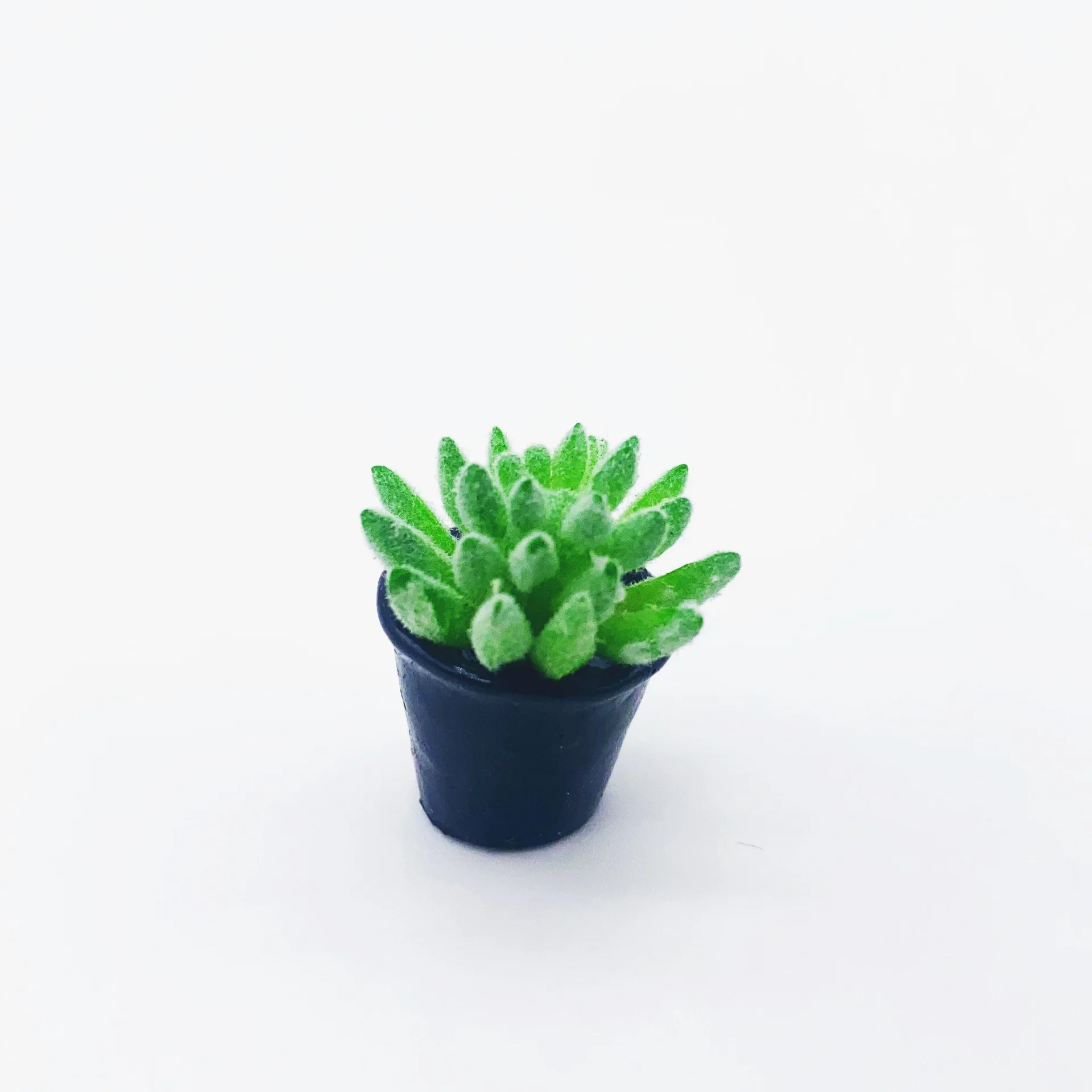 new product 2024 Dollhouse Accessories Mini Micro landscape decoration mini simulation flower succulent plant pot