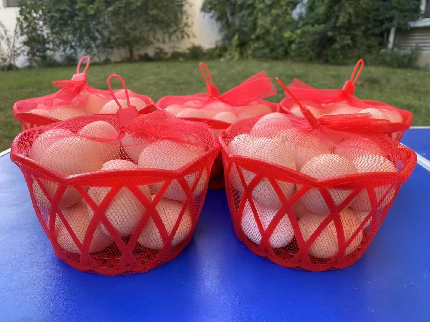 top sale small supermarket mesh bags with label plastic clasp for egg chestnut tomato orange onion net bags