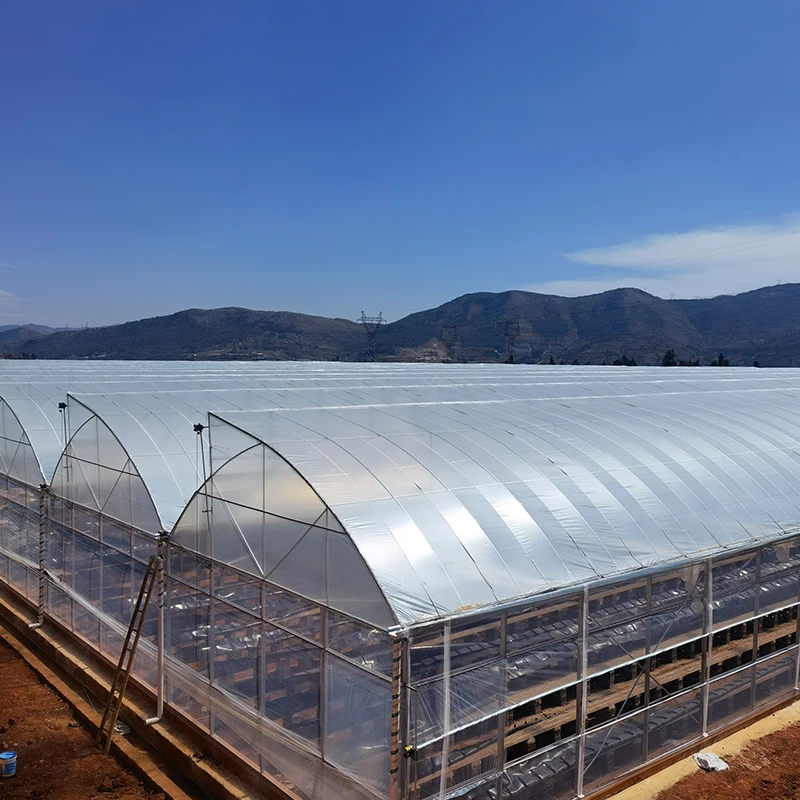 Hot New Products High Light Diffusion Light Transmittance Film Anti-Aging Greenhouse Plastic Film Best Quality