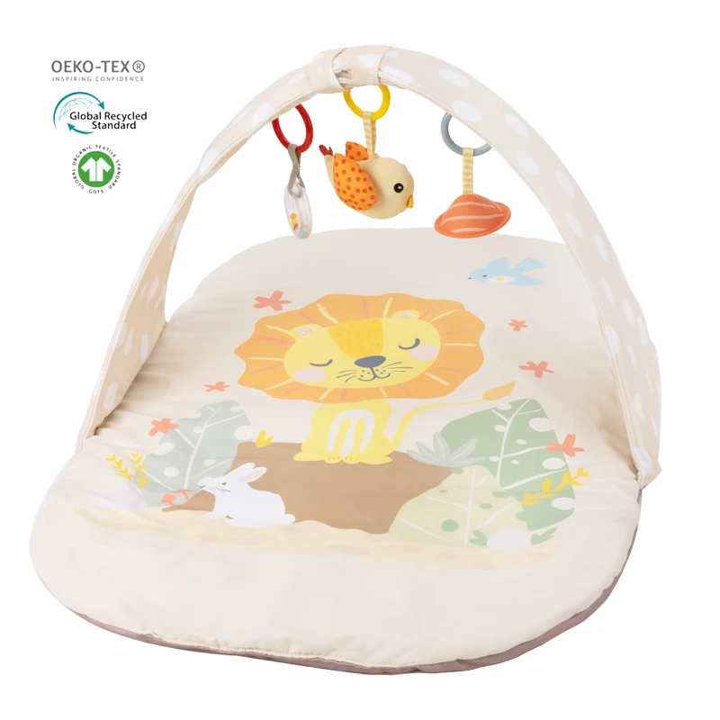 Kids Toys Hobbies Manufactures Baby Gym Play Mat Easy Carry Gym Indoor Games Soft Activity Gym Baby Blanket