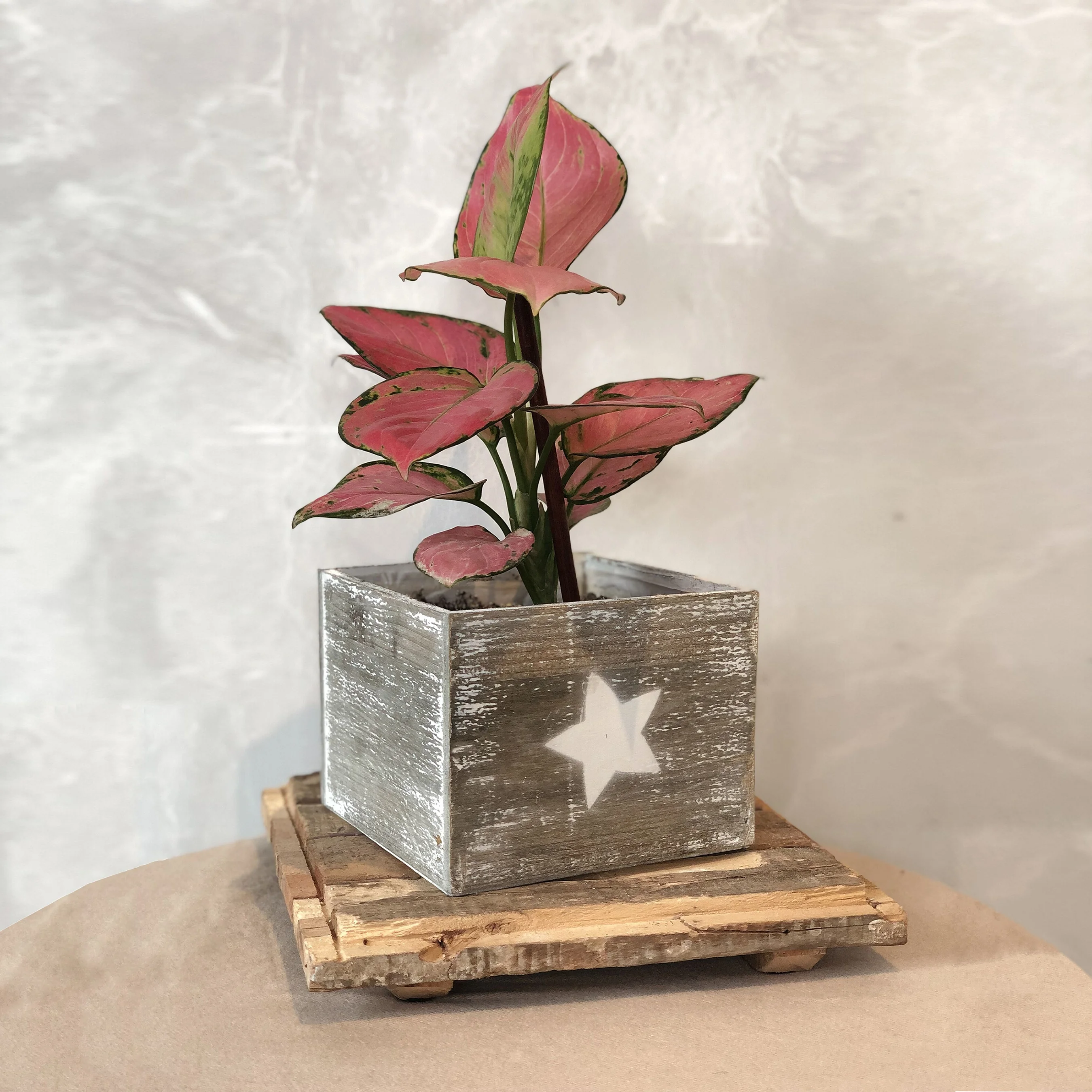 
Home decorative wooden square small flower plant pot 