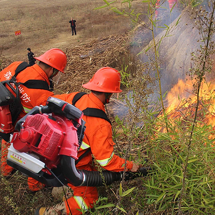 76cc Backpack Gasoline Eb9900 Air Blower Gas Blower Leaf Blower