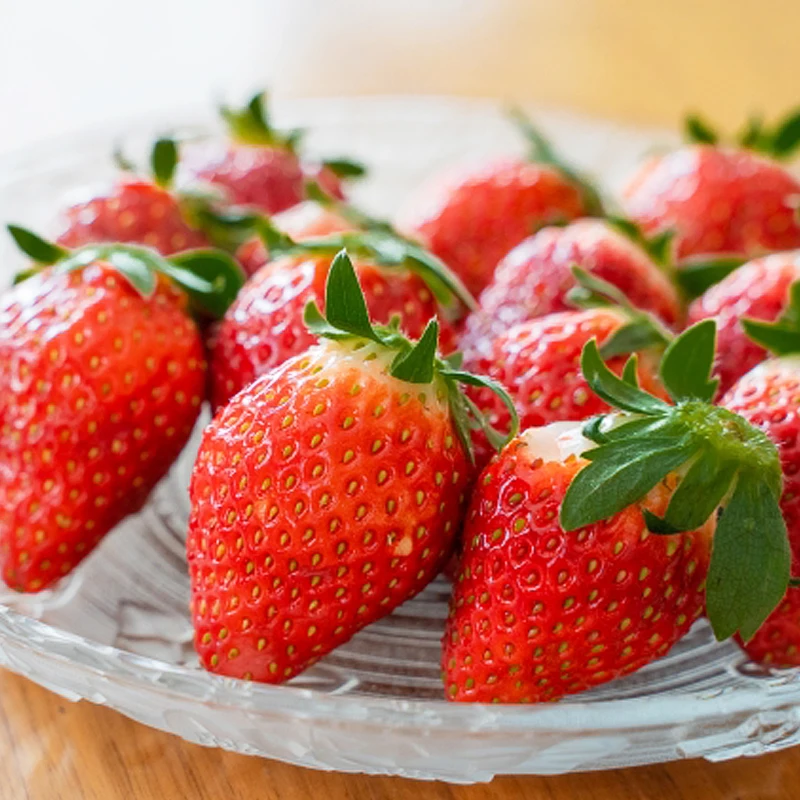 Dessert sweet fruity taste wholesale grow buy fresh strawberries for parfaits