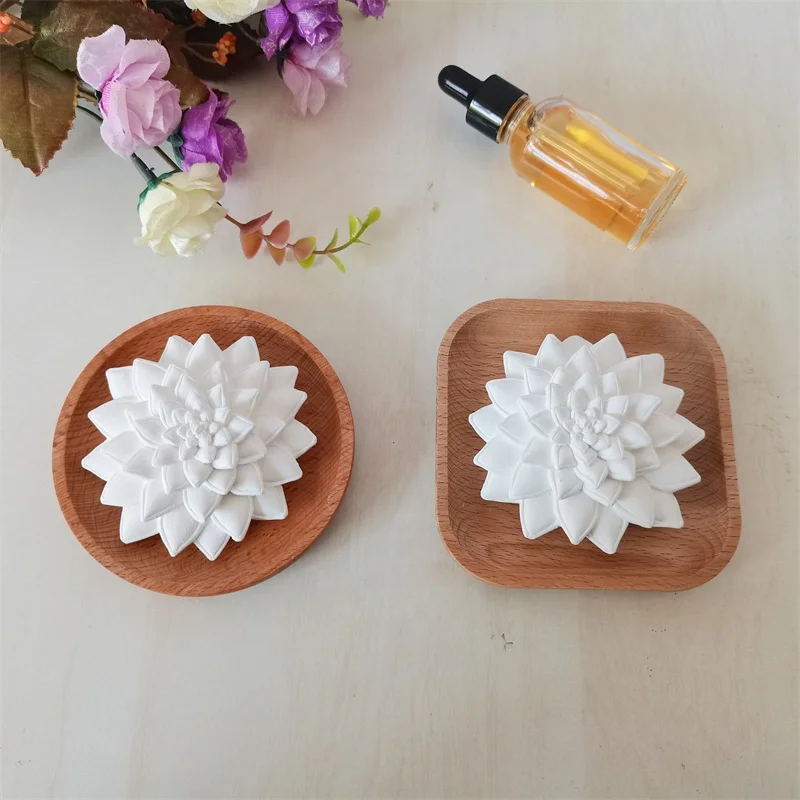 Succulent aroma stone diffuser with wood plate