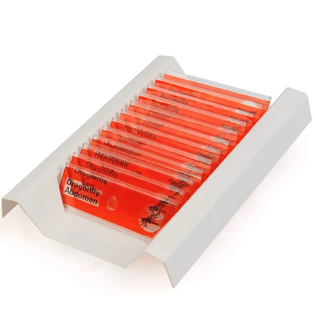  48pcs Different Prepared Plastic Microscope Slides for Homeschool
