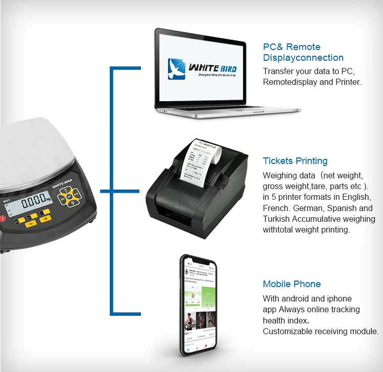 OIML certified products Cheap Digital Computing Personal  Scaling Acs Steel 30kg Balance Analytical Portable Weighing Scales