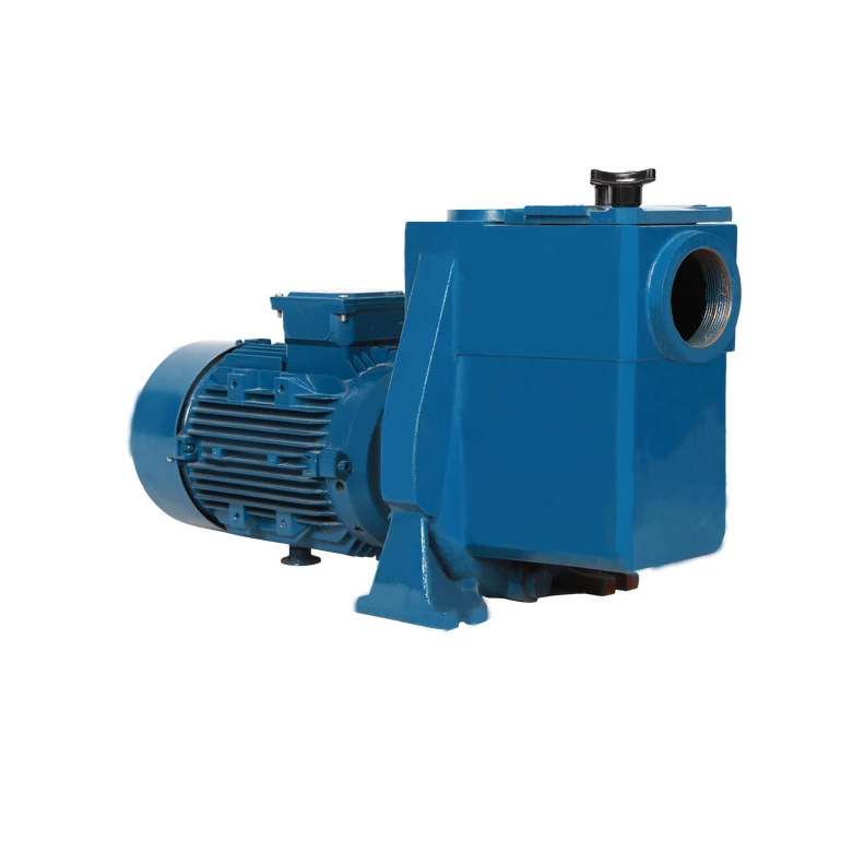 Acero inoxidable bomba d agua alta prescion piscina filtracion bombear