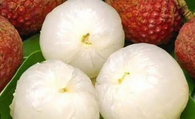 
Sweet And Delicious Tropical Canned Lychee Fruit 